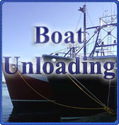 Boat Unloading