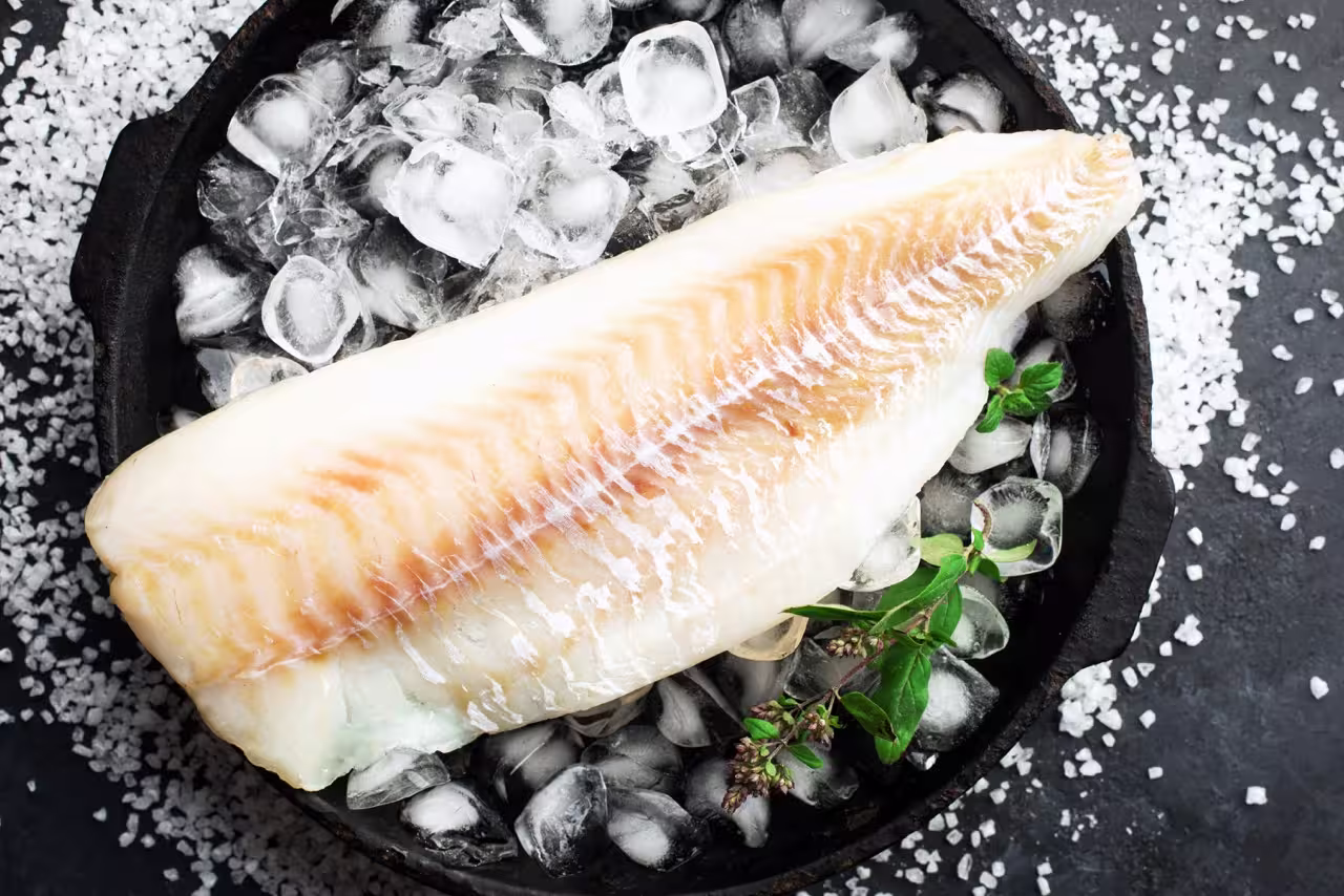 White cold-water fish fillet on ice